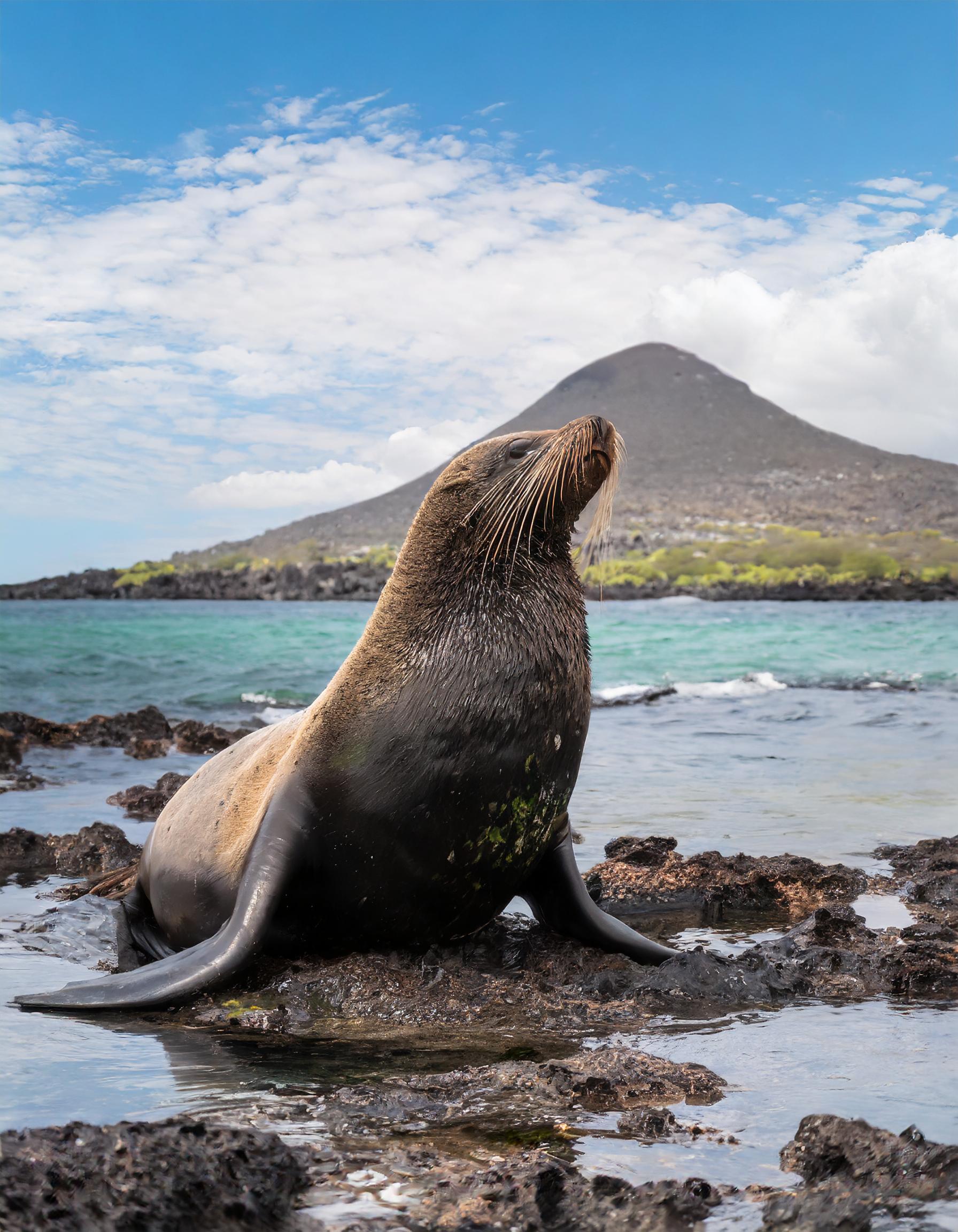 Galápagos