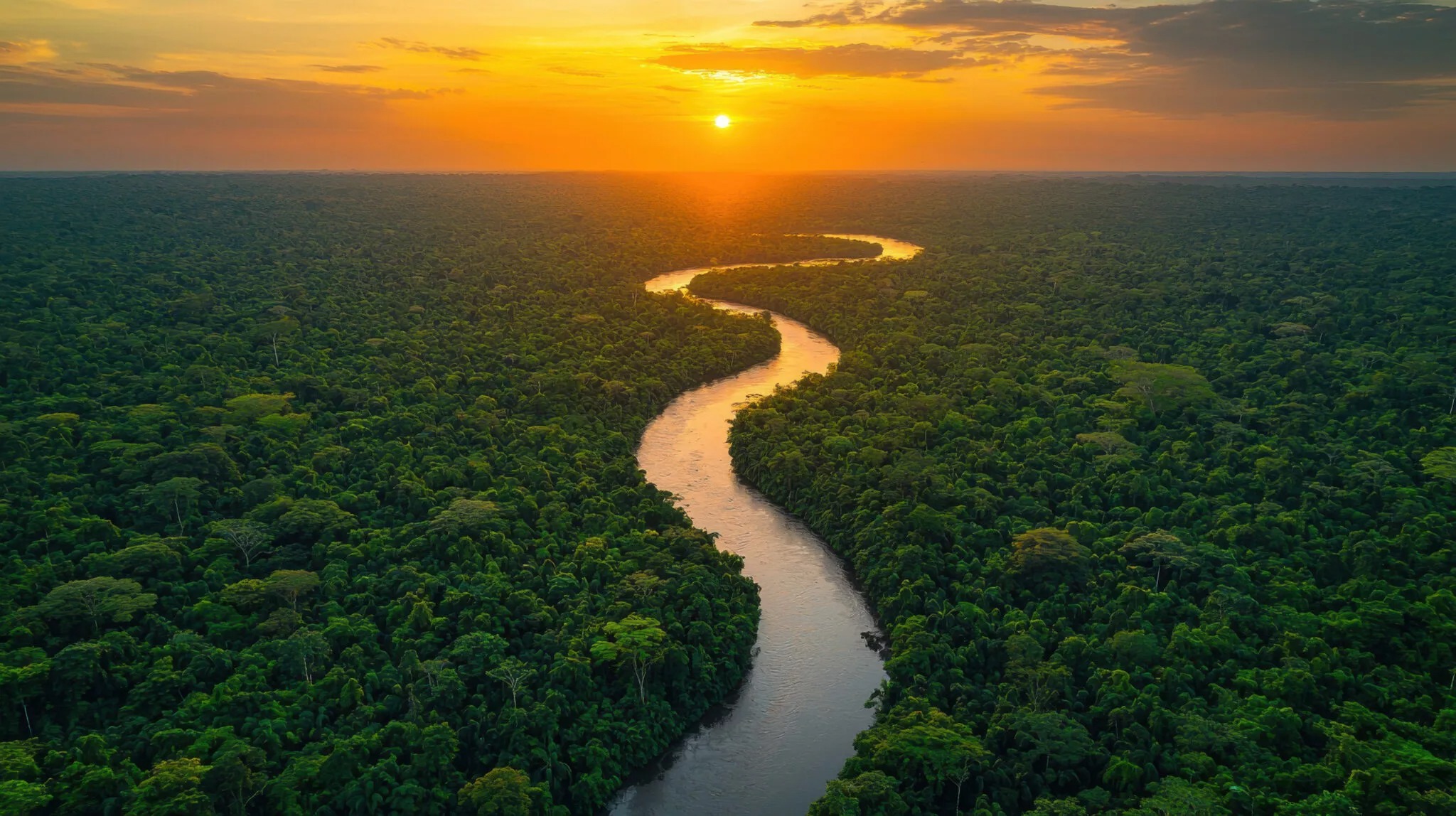 Amazonía
