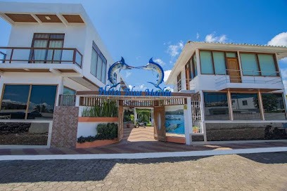 Blue Marlin