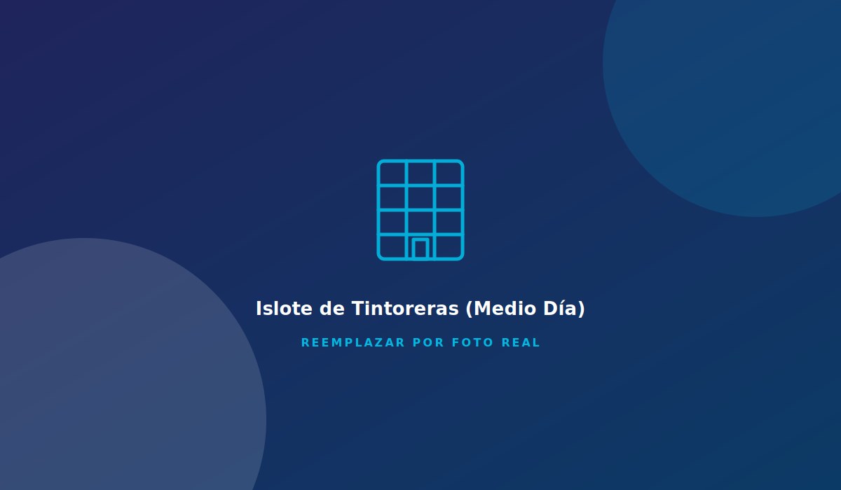 Islote de Tintoreras (Medio Día)