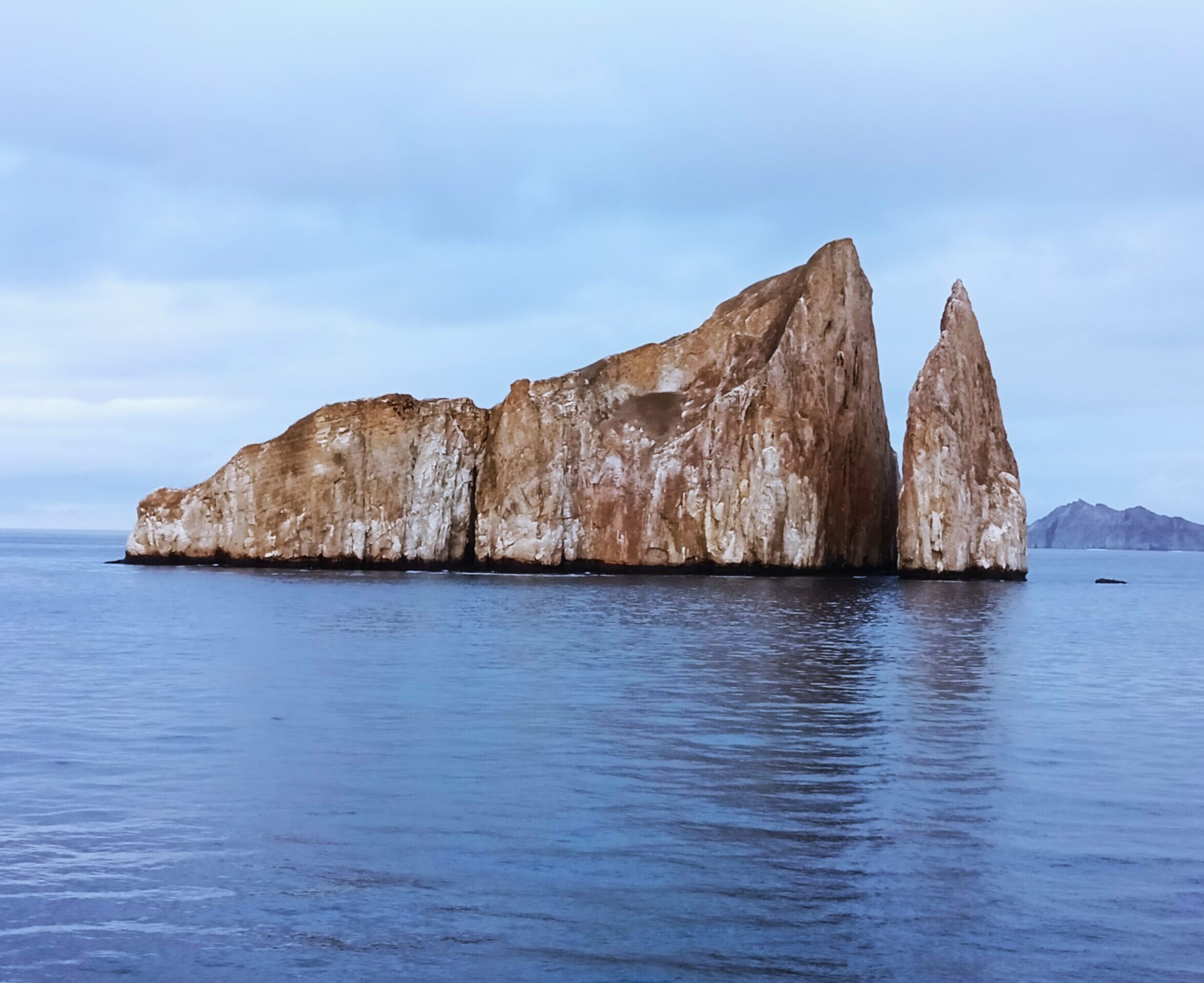 Tour 360°: Rosa Blanca, Punta Pitt, Bahía Sardina, León Dormido